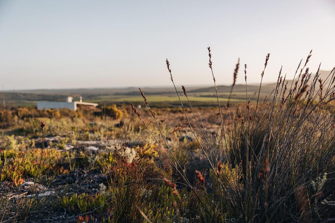 Farm 215 Private Nature Reserve Uilenkraal 외부 사진